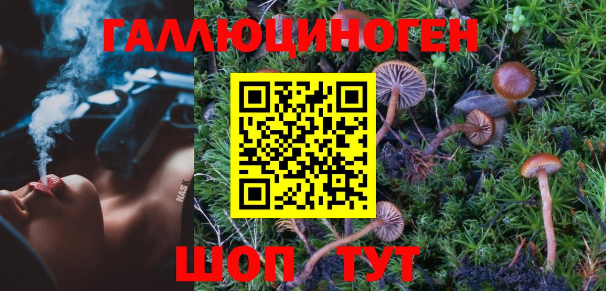 Псилоцибиновые грибы мицелий  Галлюциногенные грибы Cubensis  купить   Янаул  Вход с VPN 