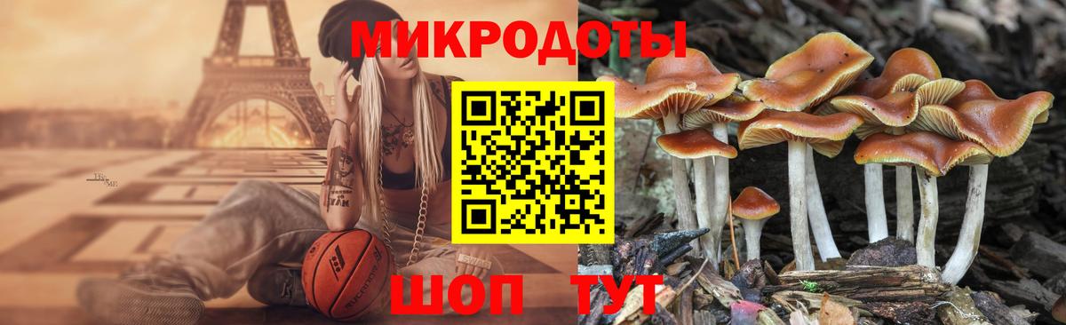 Галлюциногенные грибы Magic Shrooms Янаул
